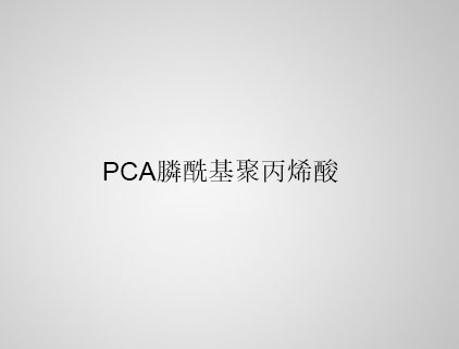  PCA 膦?；郾┧? class=